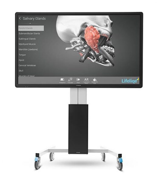 CTOUCH 84 Zoll interaktiv Touchdisplay 10 Finger